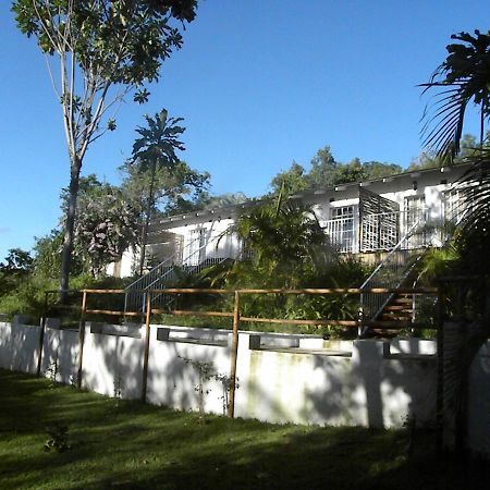 Bush Baby Glen Villa Hazyview Luaran gambar