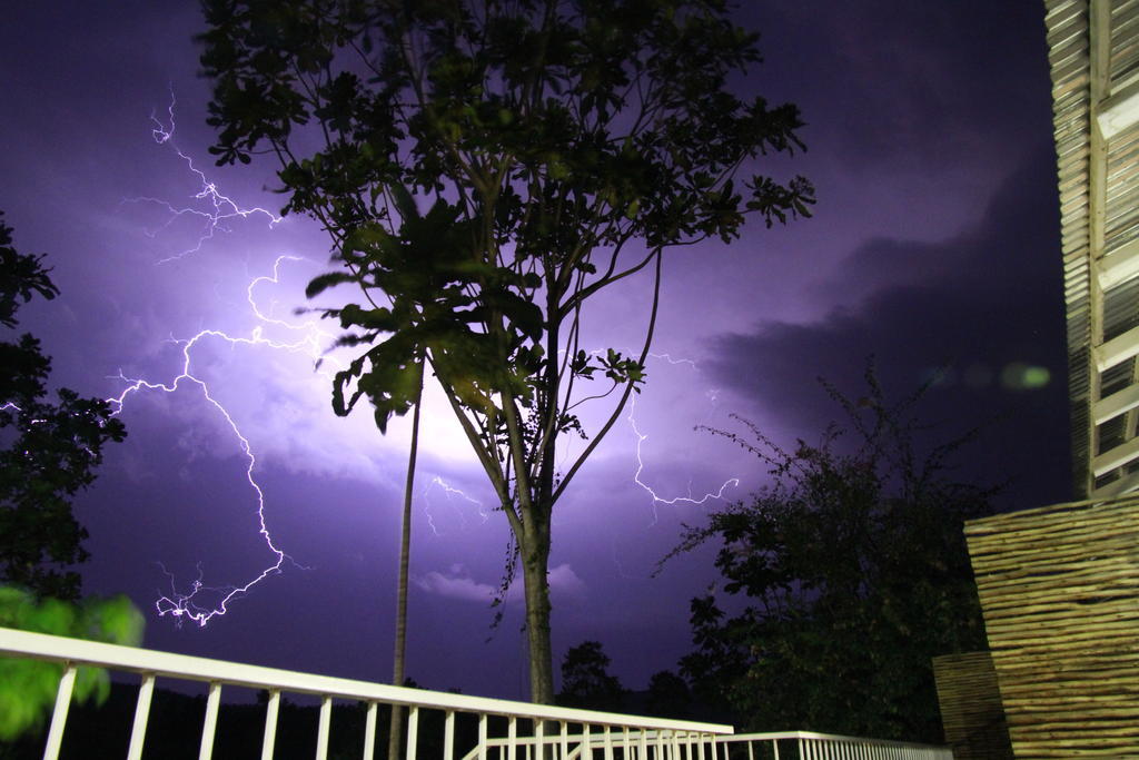 Bush Baby Glen Villa Hazyview Bilik gambar