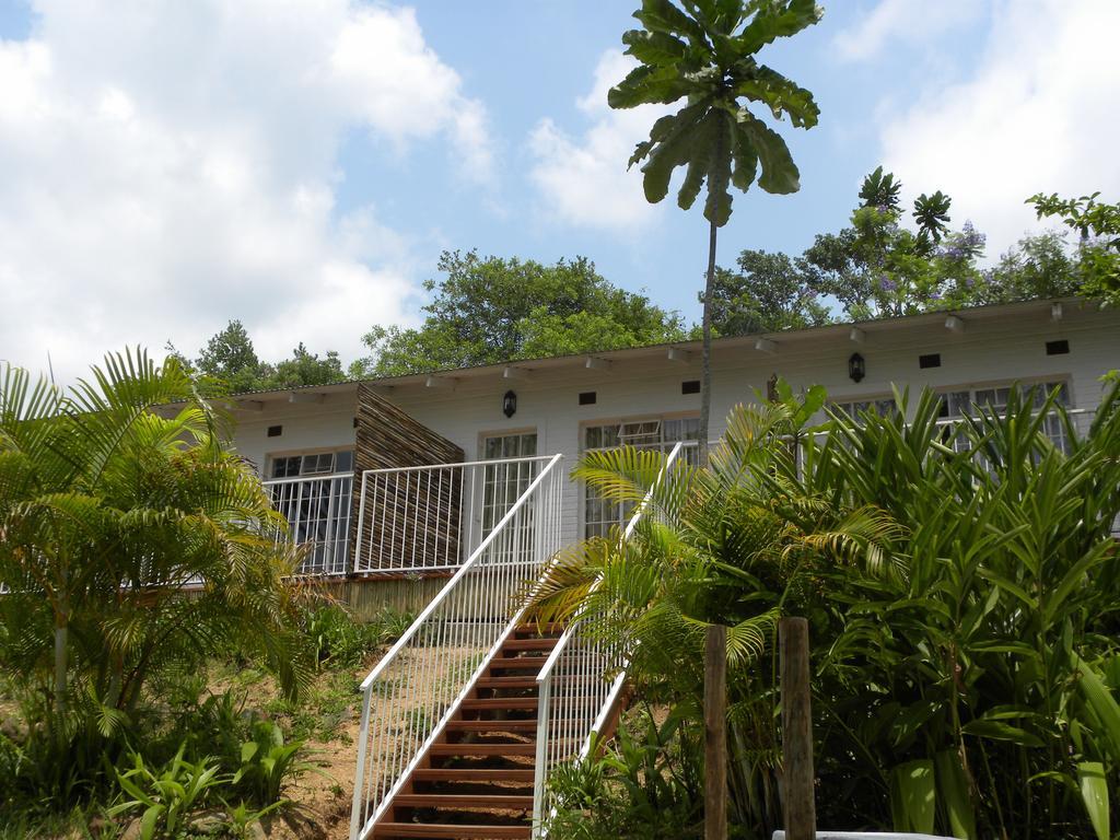 Bush Baby Glen Villa Hazyview Bilik gambar