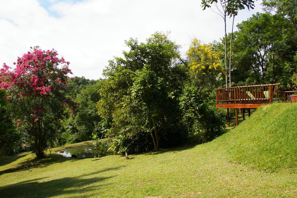 Bush Baby Glen Villa Hazyview Luaran gambar